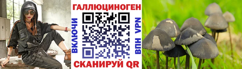 Галлюциногенные грибы Cubensis  Кунгур 